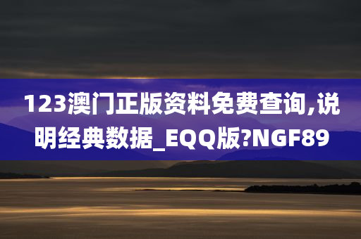 123澳门正版资料免费查询,说明经典数据_EQQ版?NGF89