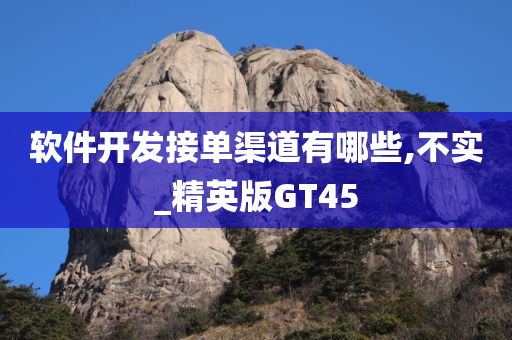 软件开发接单渠道有哪些,不实_精英版GT45