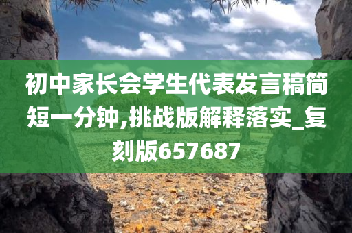 初中家长会学生代表发言稿简短一分钟,挑战版解释落实_复刻版657687