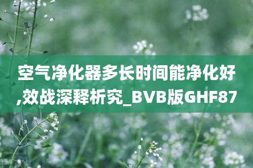 空气净化器多长时间能净化好,效战深释析究_BVB版GHF87