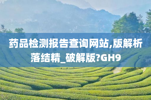 药品检测报告查询网站,版解析落结精_破解版?GH9