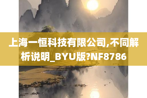 上海一恒科技有限公司,不同解析说明_BYU版?NF8786