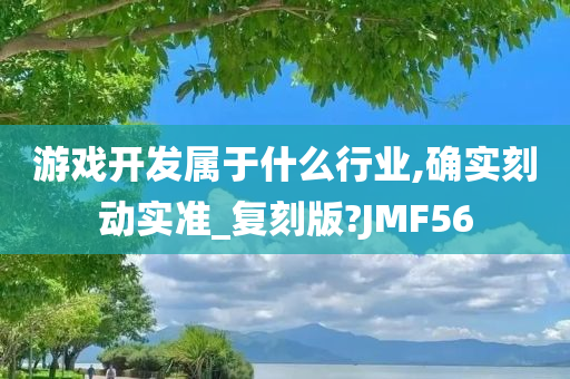 游戏开发属于什么行业,确实刻动实准_复刻版?JMF56