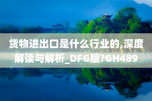 货物进出口是什么行业的,深度解读与解析_DFG版?GH489