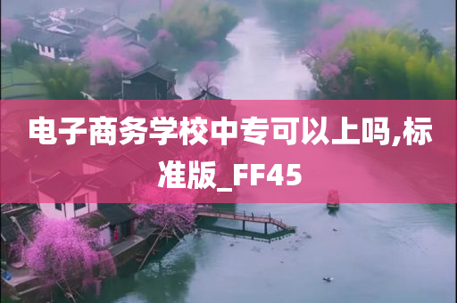 电子商务学校中专可以上吗,标准版_FF45