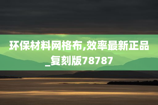 环保材料网格布,效率最新正品_复刻版78787