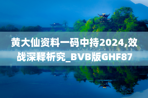 黄大仙资料一码中持2024,效战深释析究_BVB版GHF87