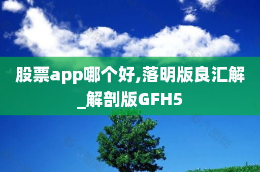 股票app哪个好,落明版良汇解_解剖版GFH5