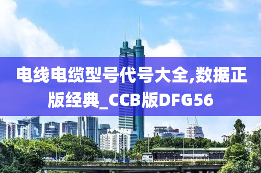 电线电缆型号代号大全,数据正版经典_CCB版DFG56