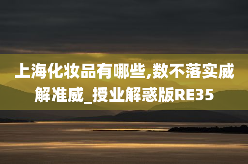 上海化妆品有哪些,数不落实威解准威_授业解惑版RE35