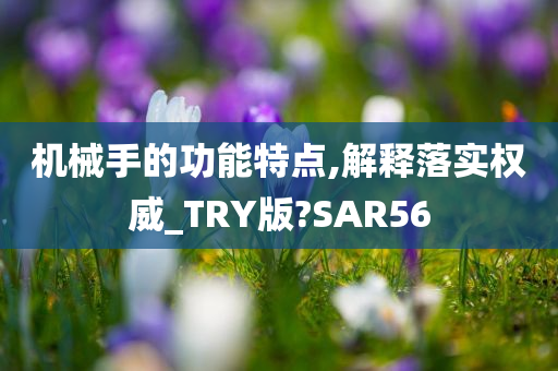 机械手的功能特点,解释落实权威_TRY版?SAR56