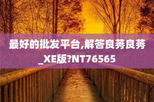 最好的批发平台,解答良莠良莠_XE版?NT76565