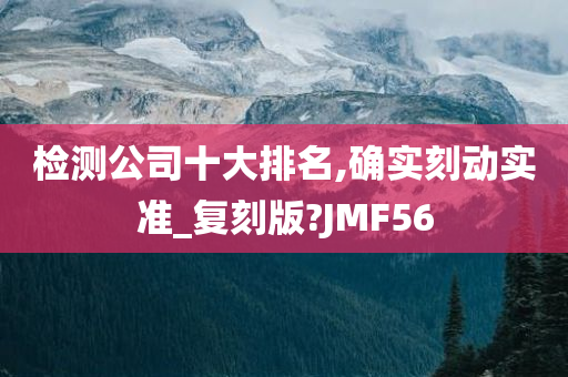 检测公司十大排名,确实刻动实准_复刻版?JMF56