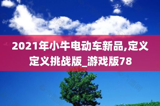 2021年小牛电动车新品,定义定义挑战版_游戏版78