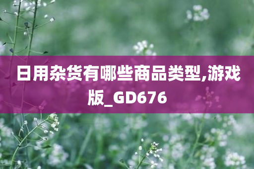 日用杂货有哪些商品类型,游戏版_GD676