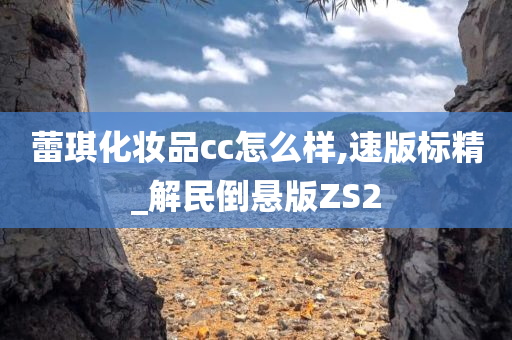 蕾琪化妆品cc怎么样,速版标精_解民倒悬版ZS2