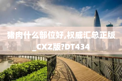 猪肉什么部位好,权威汇总正版_CXZ版?DT434