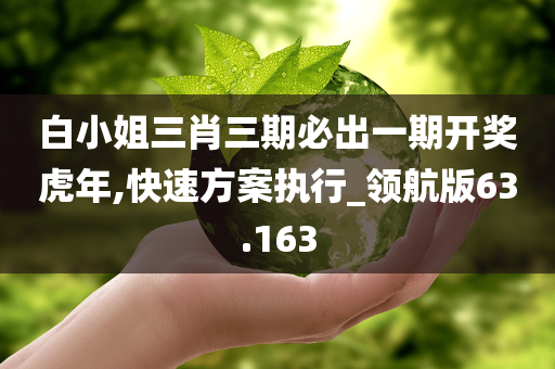 白小姐三肖三期必出一期开奖虎年,快速方案执行_领航版63.163