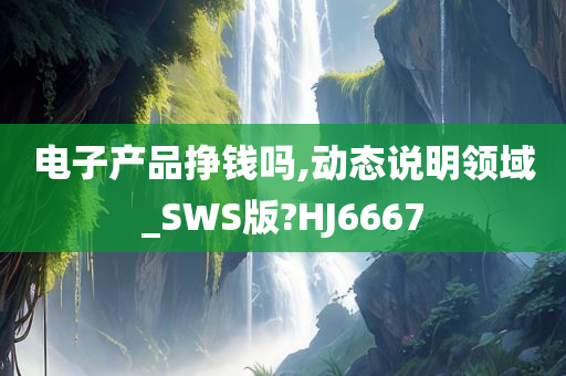 电子产品挣钱吗,动态说明领域_SWS版?HJ6667