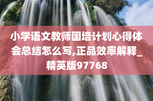 小学语文教师国培计划心得体会总结怎么写,正品效率解释_精英版97768