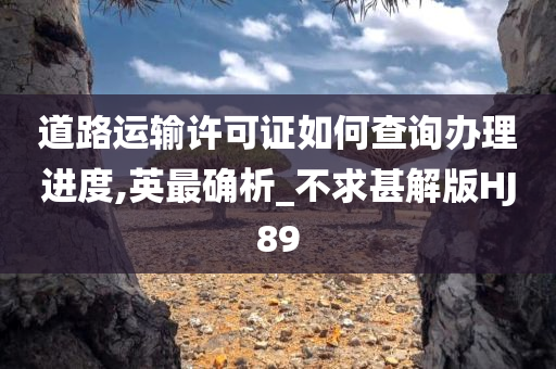 道路运输许可证如何查询办理进度,英最确析_不求甚解版HJ89