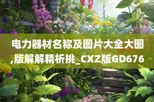 电力器材名称及图片大全大图,版解解精析挑_CXZ版GD676