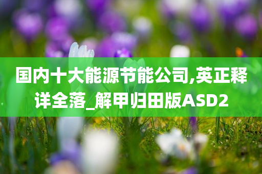 国内十大能源节能公司,英正释详全落_解甲归田版ASD2