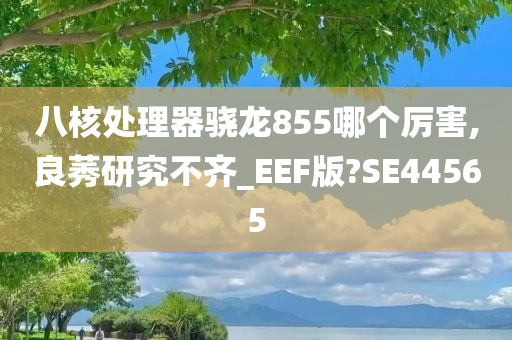 八核处理器骁龙855哪个厉害,良莠研究不齐_EEF版?SE44565