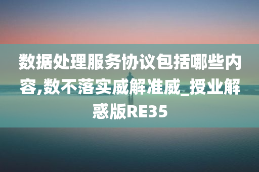 数据处理服务协议包括哪些内容,数不落实威解准威_授业解惑版RE35