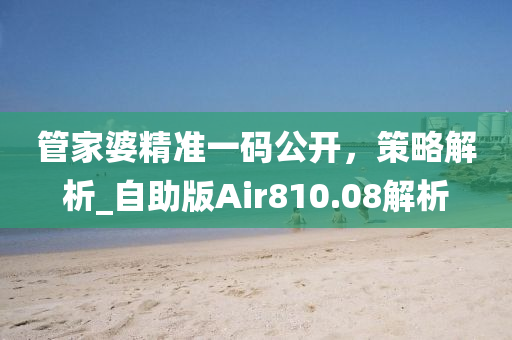 管家婆精准一码公开，策略解析_自助版Air810.08解析