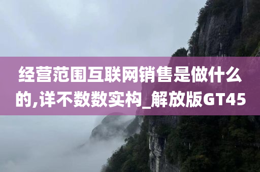 经营范围互联网销售是做什么的,详不数数实构_解放版GT45