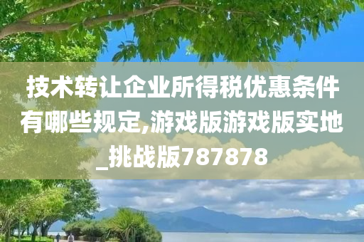 技术转让企业所得税优惠条件有哪些规定,游戏版游戏版实地_挑战版787878