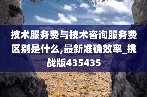 技术服务费与技术咨询服务费区别是什么,最新准确效率_挑战版435435