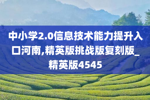 中小学2.0信息技术能力提升入口河南,精英版挑战版复刻版_精英版4545