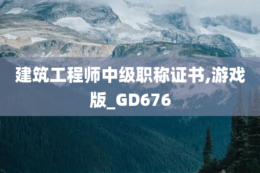 建筑工程师中级职称证书,游戏版_GD676