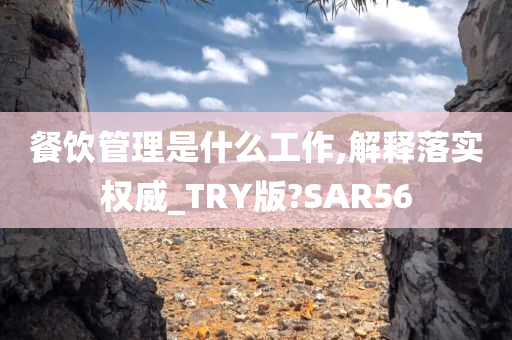 餐饮管理是什么工作,解释落实权威_TRY版?SAR56