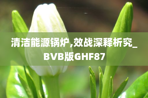 清洁能源锅炉,效战深释析究_BVB版GHF87