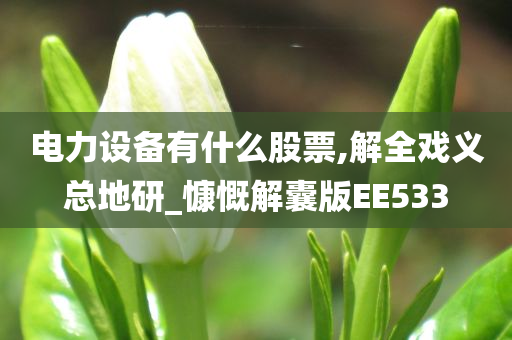 电力设备有什么股票,解全戏义总地研_慷慨解囊版EE533