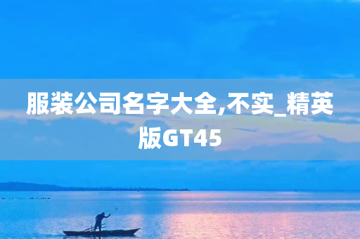 服装公司名字大全,不实_精英版GT45