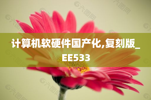 计算机软硬件国产化,复刻版_EE533