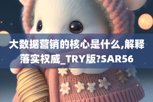 大数据营销的核心是什么,解释落实权威_TRY版?SAR56