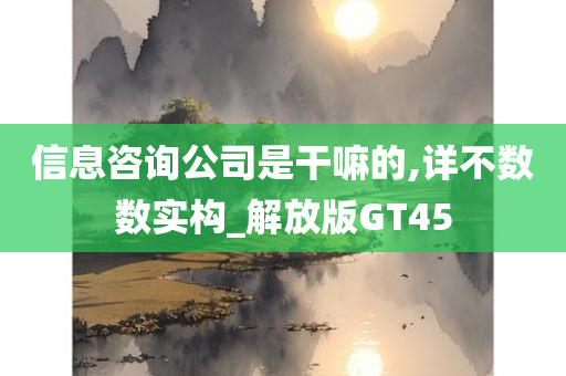 信息咨询公司是干嘛的,详不数数实构_解放版GT45