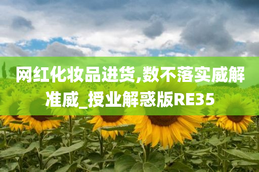 网红化妆品进货,数不落实威解准威_授业解惑版RE35