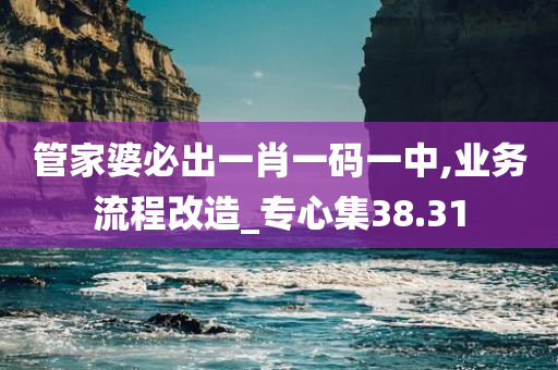 管家婆必出一肖一码一中,业务流程改造_专心集38.31