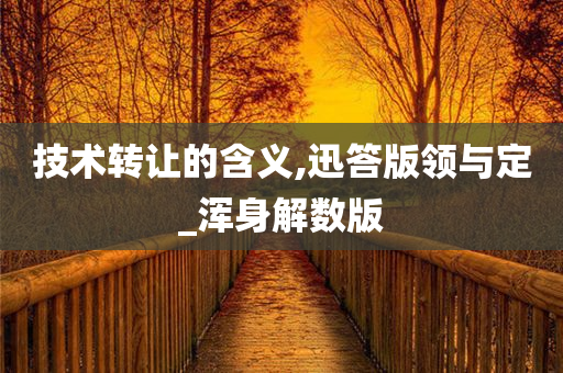 技术转让的含义,迅答版领与定_浑身解数版