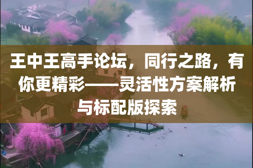 王中王高手论坛，同行之路，有你更精彩——灵活性方案解析与标配版探索