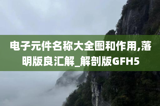 电子元件名称大全图和作用,落明版良汇解_解剖版GFH5