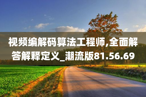 视频编解码算法工程师,全面解答解释定义_潮流版81.56.69