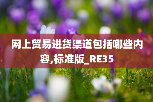 网上贸易进货渠道包括哪些内容,标准版_RE35