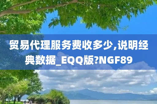 贸易代理服务费收多少,说明经典数据_EQQ版?NGF89